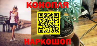 спайс Кунгур