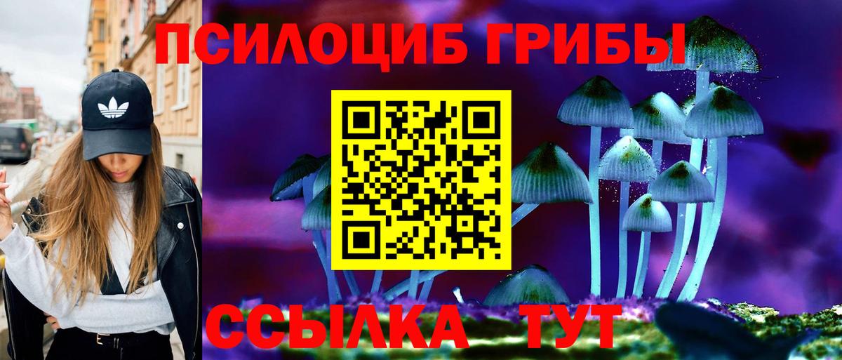 Псилоцибиновые грибы прущие грибы Южно-Сахалинск